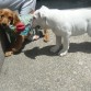 Rocco con su primo Garu